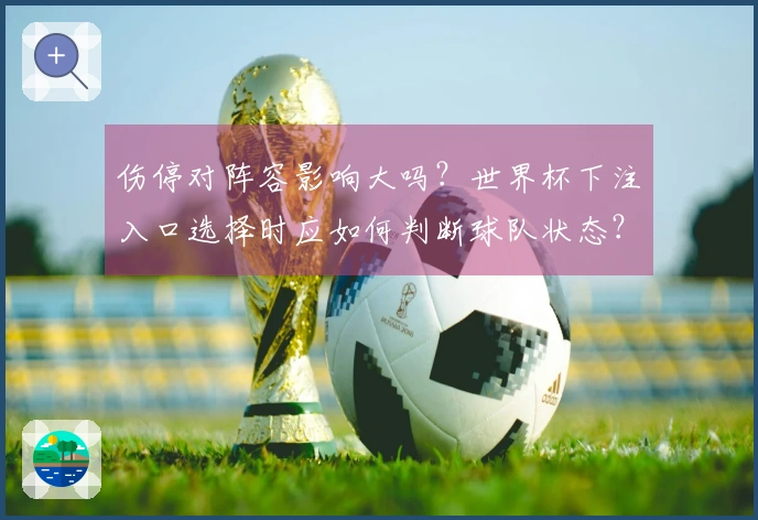 伤停对阵容影响大吗？世界杯下注入口选择时应如何判断球队状态？