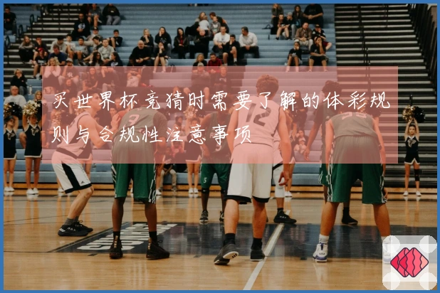 买世界杯竞猜时需要了解的体彩规则与合规性注意事项