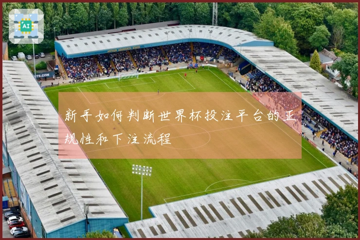 新手如何判断世界杯投注平台的正规性和下注流程