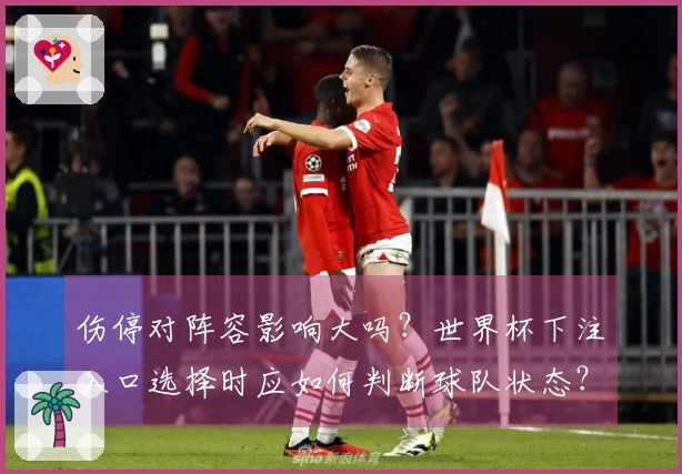 伤停对阵容影响大吗？世界杯下注入口选择时应如何判断球队状态？